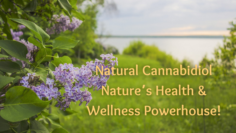 Cannabidiol is one of the many cannabinoids in cannabis that are designed by nature to promote a better quality of life.