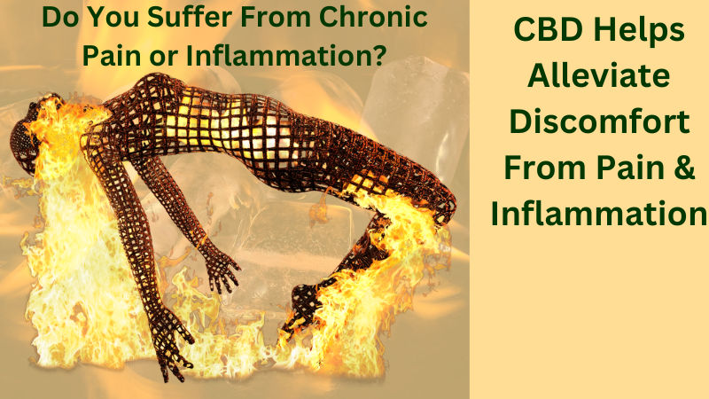 CBD has many curative properties. Among them are anti-inflammatory and analgesic (pain relieving) properties.