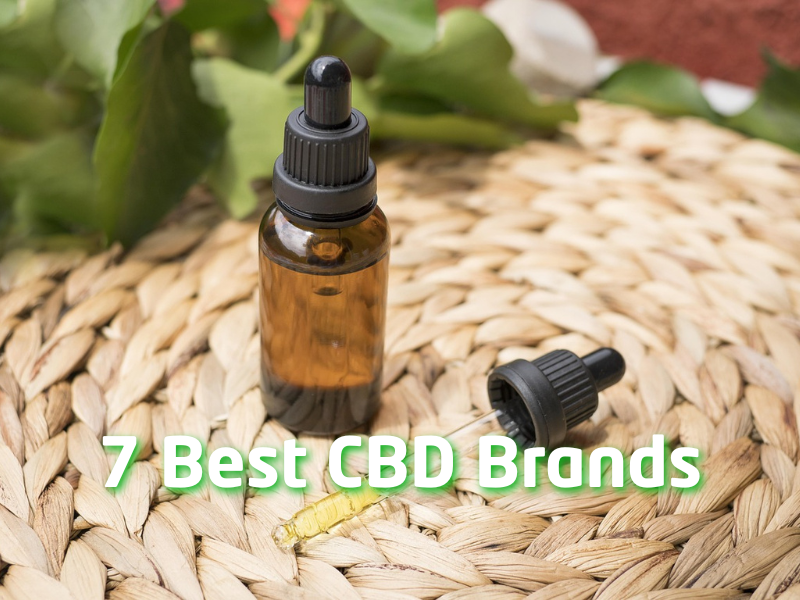 Bottle of CBD oil on a wicker mat with herb leaves. Text reads 7 Best CBD Brands