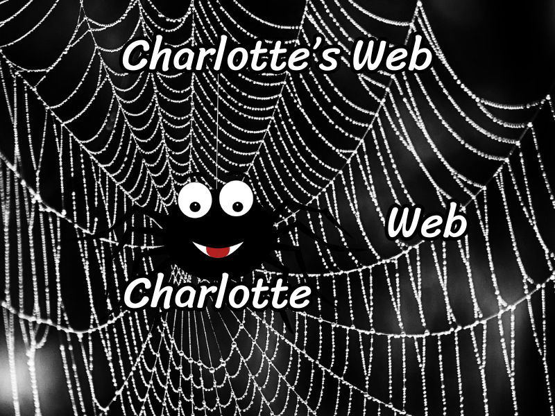 Cartoon spider on a web the web has a "Web" label, the spider has a "Charlotte" label and image has a "Charlotte's Web" label
