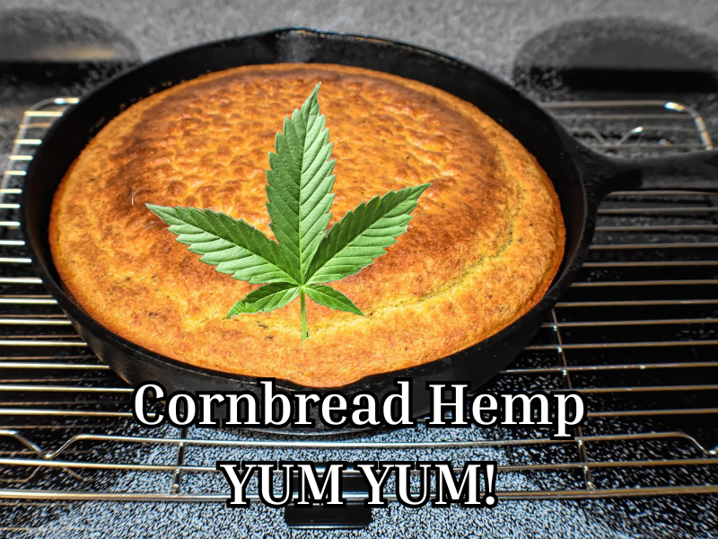 Skillet full of cornbread with hemp leaf on top sitting on a cooling rack Text reads "Cornbread Hemp, YUM YUM!"