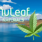 Cropped cannabis leaf with 'Nuleaf Naturals' and red overlay over lake and mountains. Button: Visit Nuleaf Naturals. Text overlay "Nuleaf Naturals CBD Oil for overall wellness".