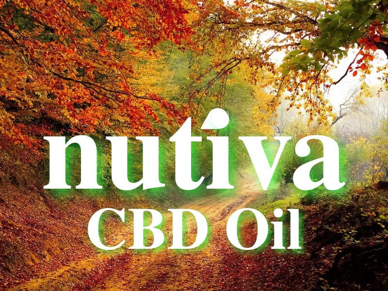 Imagine a serene trail trough the woods. It's fall but there's still some green on the trees, otherwise quite colorful. Nutiva CBD Oil